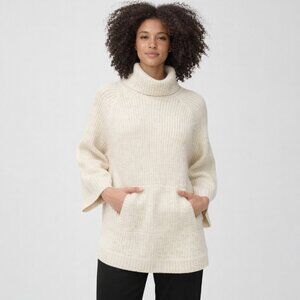 Ugg Raelynn Wool‎ Sweater Cream Small